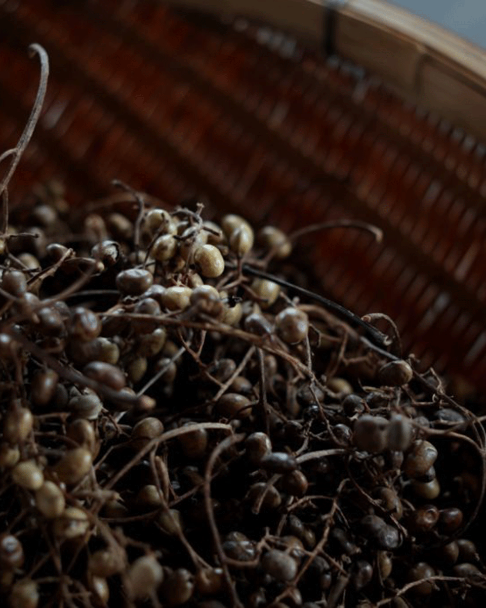 Daiyo MORPHE Kerzenserie „01 Fragment“