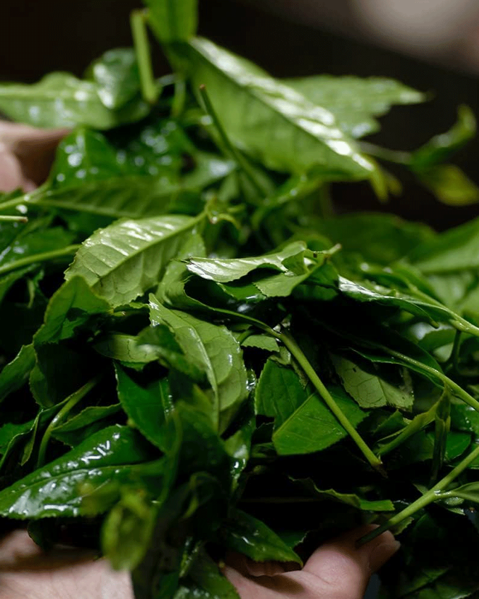 Wakohen Matcha Genmaicha 200g