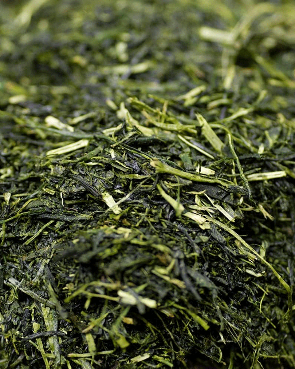 Wakohen Sencha Kodama Kaori 80g